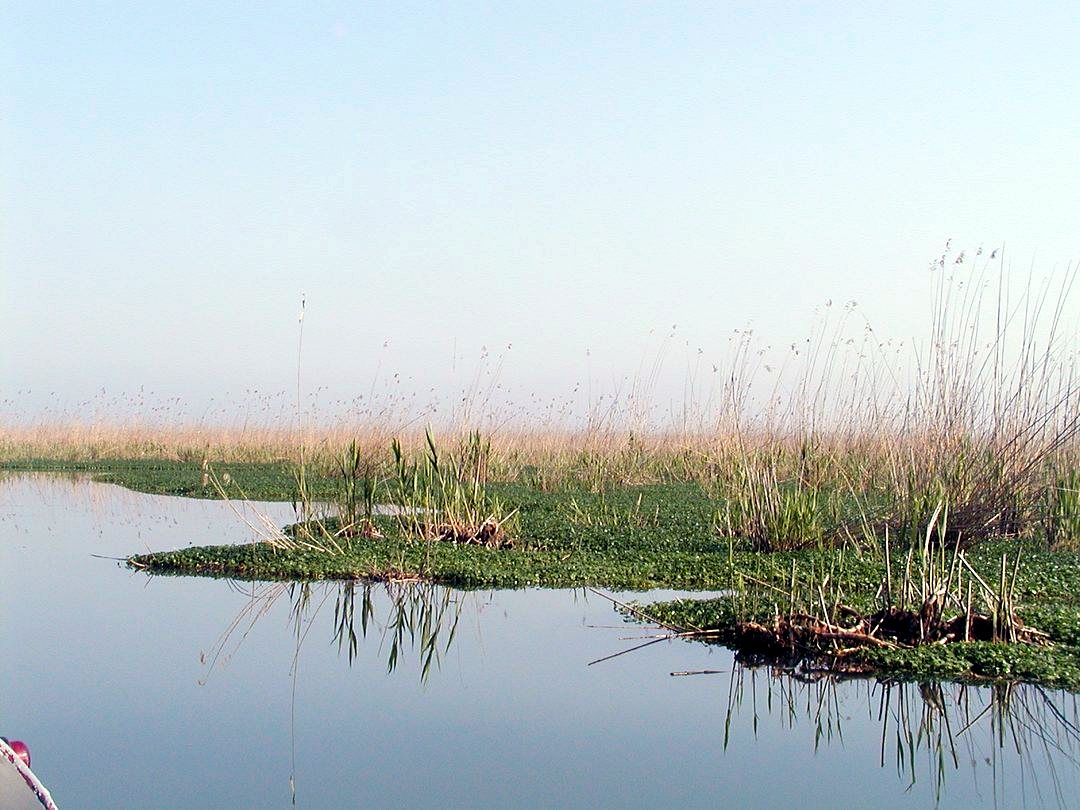 Anzali (Iran)- Lagoon-CaspianSea.JPG