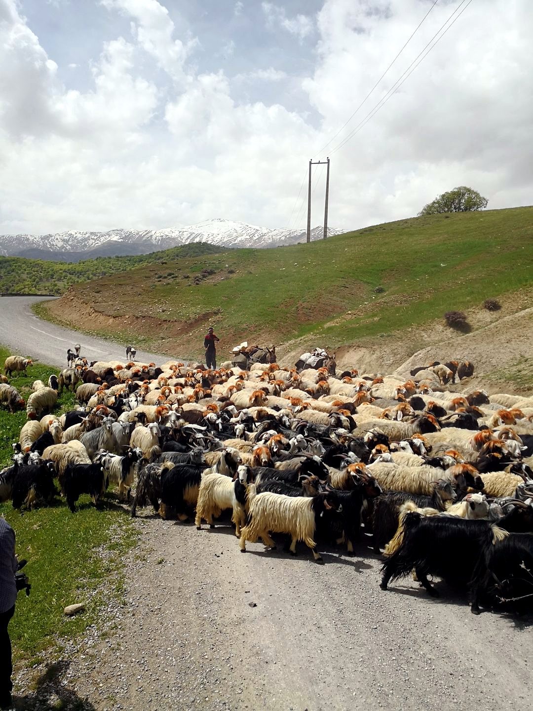 Bakhtiari nomads.jpg