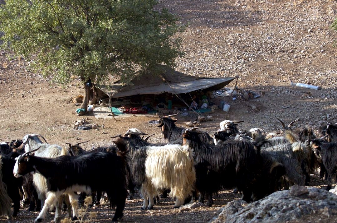 Bakhtiari nomad camp.jpg