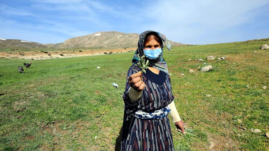 Qashqai nomad lady.jpg